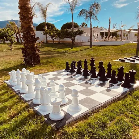Palmeras *