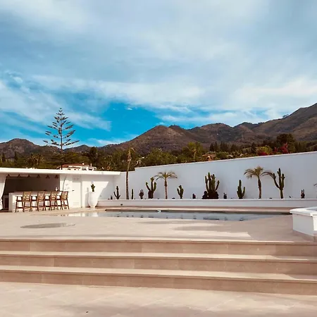 Palmeras